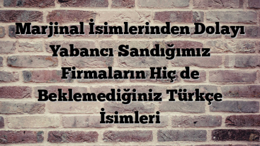 Marjinal İsimlerinden Dolayı Yabancı Sandığımız Firmaların Hiç de Beklemediğiniz Türkçe İsimleri